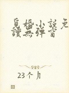 觅婚小说免费阅读无弹窗