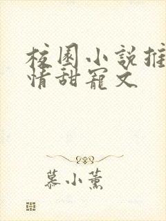 校园小说推荐言情甜宠文