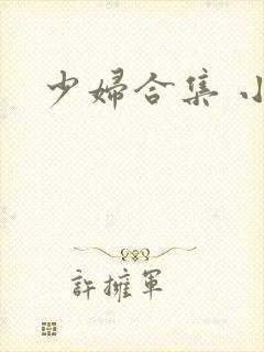 少妇合集 小说