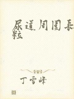 尿道周围长小肉粒