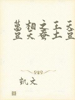万相之王天蚕土豆天蚕土豆