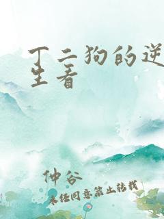 丁二狗的逆袭人生看