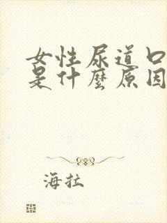 女性尿道口肿痛是什么原因