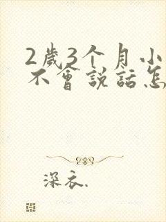 2岁3个月小孩不会说话怎么办