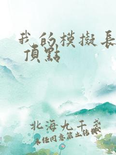 我的模拟长生路 顶点