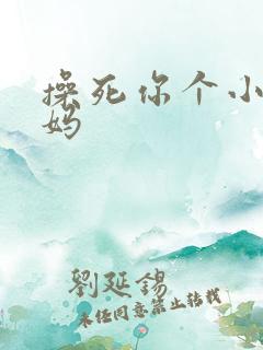 操死你个小逼妈妈