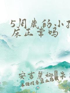 5周岁的小孩尿床正常吗