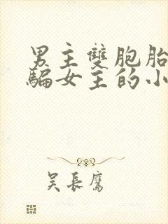 男主双胞胎兄弟骗女主的小说