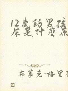 12岁的男孩尿床是什么原因