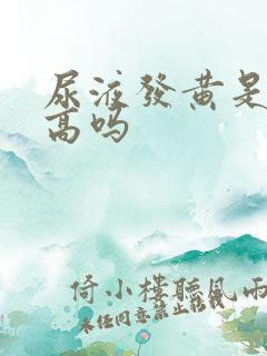 尿液发黄是尿酸高吗