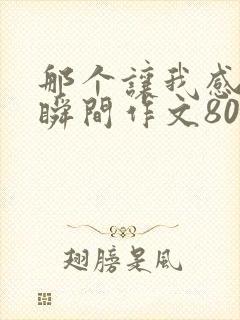 那个让我感动的瞬间作文800字