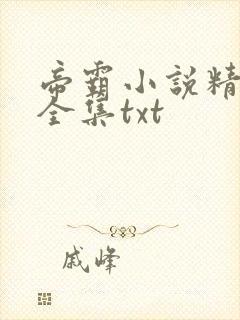 帝霸小说精校版全集txt