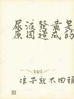 尿液发黄是什么原因造成的