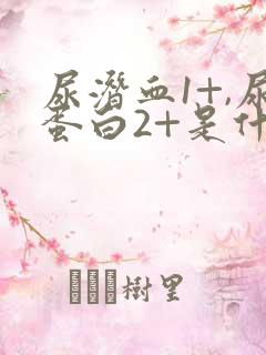 尿潜血1+,尿蛋白2+是什么意思