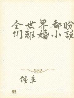 全世界都盼着我们离婚小说txt