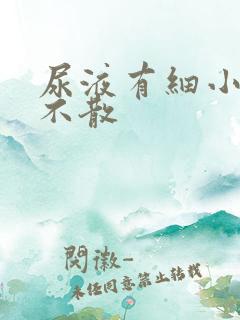 尿液有细小泡沫不散