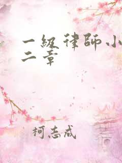 一级律师小说第二章