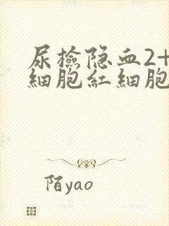 尿检隐血2+白细胞红细胞高