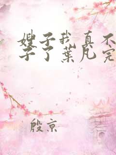 嫂子我真不是傻子了叶凡完全版