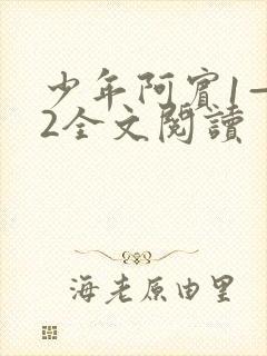 少年阿宾1—72全文阅读