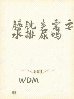 膀胱炎需要多喝水排尿吗