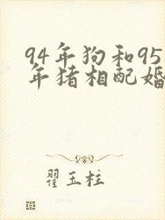 94年狗和95年猪相配婚姻如何