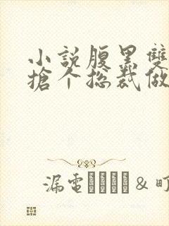 小说腹黑双胞胎抢个总裁做爹地