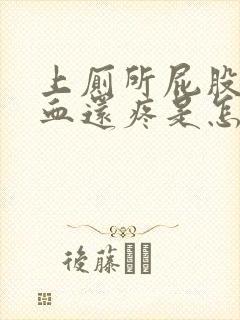 上厕所屁股擦出血还疼是怎么了