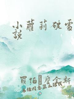 小萝莉破处h小说