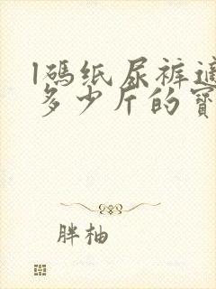 l码纸尿裤适合多少斤的宝宝