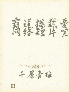 霸道总裁爱上我网络短片完版全集