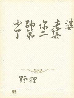 少帅你老婆又跑了第二集