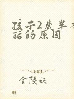 孩子2岁半不说话的原因