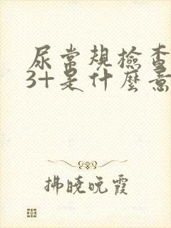 尿常规检查隐血3+是什么意思