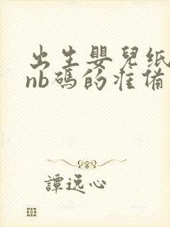 出生婴儿纸尿裤nb码的准备几包