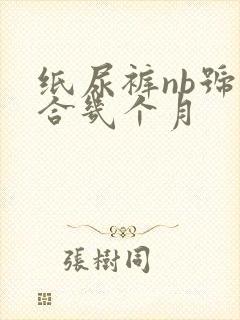 纸尿裤nb号适合几个月