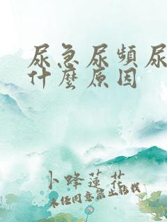 尿急尿频尿少是什么原因