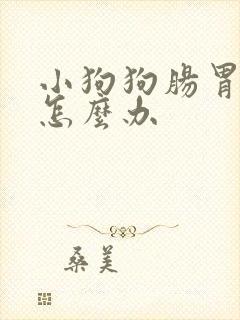 小狗狗肠胃不好怎么办