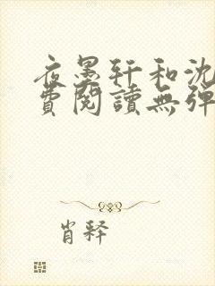 夜墨轩和沈琦免费阅读无弹窗