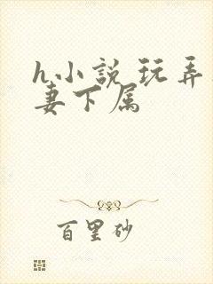 h小说 玩弄人妻下属