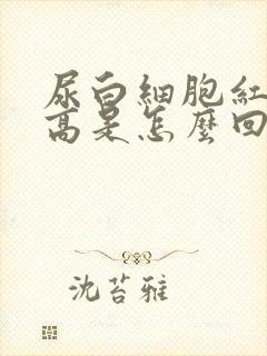 尿白细胞红细胞高是怎么回事