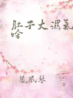 肚子大湿气重吃啥