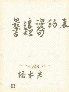 最浪漫的表白情书短句