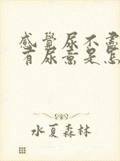 感觉尿不尽始终有尿意是怎么回事