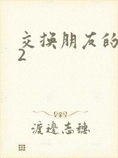 交换朋友的妻子2