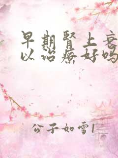 早期肾上衰竭可以治疗好吗