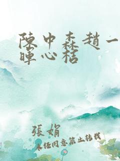 陈中森赵一凡孟晖心桔