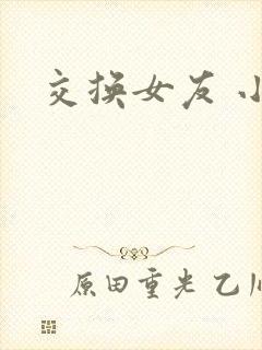 交换女友 小说