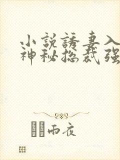 小说诱妻入怀:神秘总裁强势宠