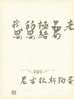 我的极品老师宋思思结局